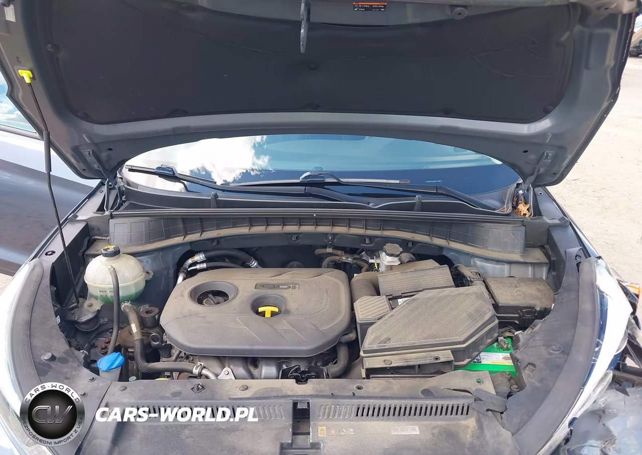 2016 Hyundai Tucson Se VIN:KM8J3CA46GU213984 - 10