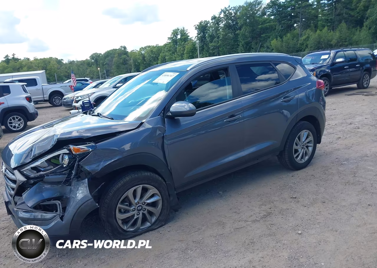2016 Hyundai Tucson Se VIN:KM8J3CA46GU213984 - 12