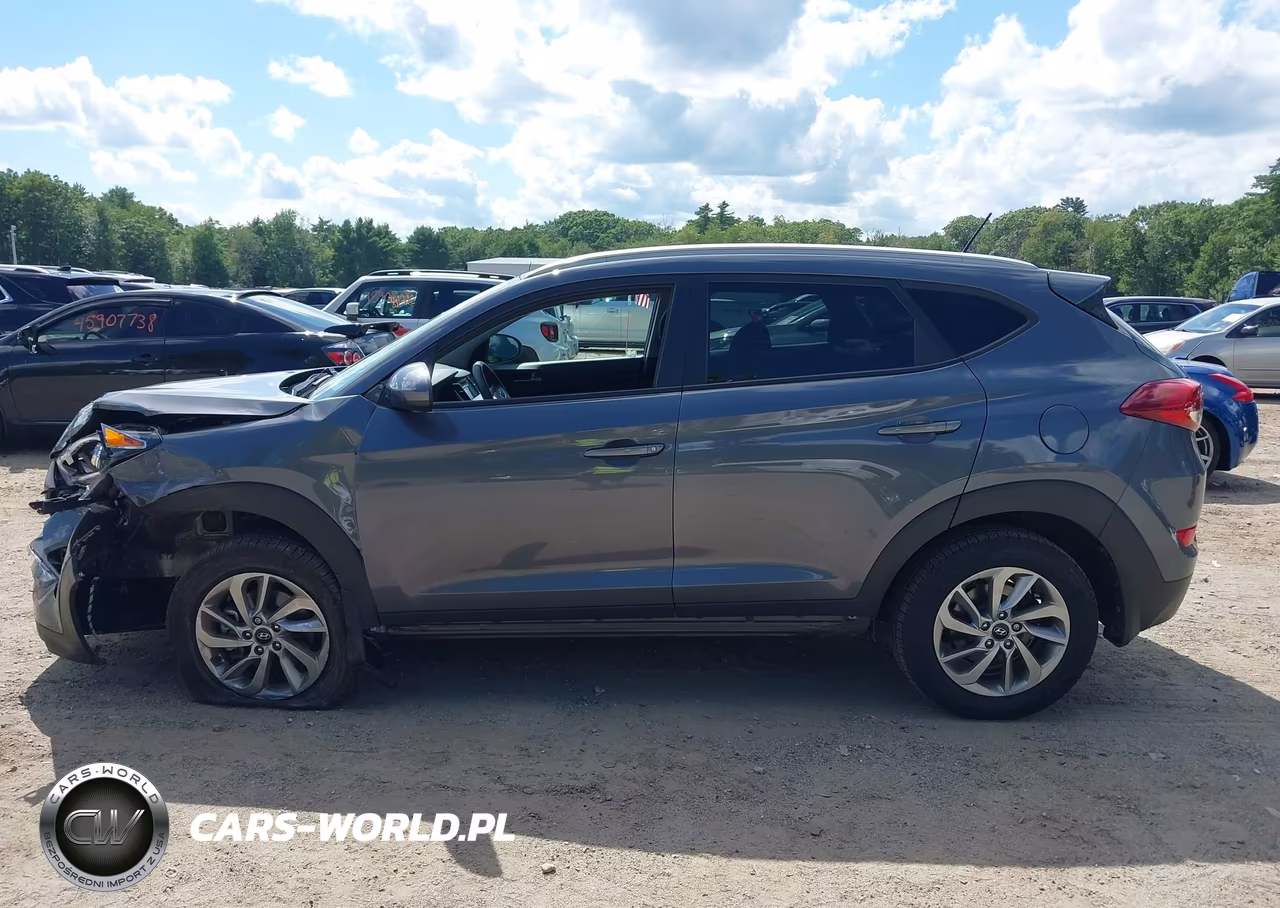 2016 Hyundai Tucson Se VIN:KM8J3CA46GU213984 - 15