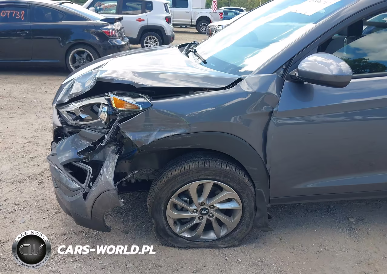 2016 Hyundai Tucson Se VIN:KM8J3CA46GU213984 - 18