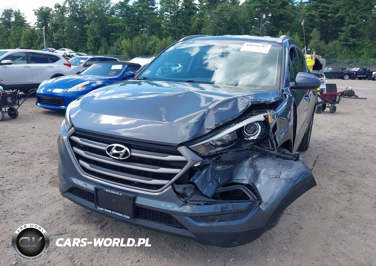 2016 Hyundai Tucson Se VIN:KM8J3CA46GU213984 - 19