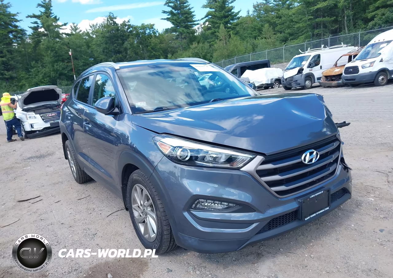 2016 Hyundai Tucson Se VIN:KM8J3CA46GU213984 - 20