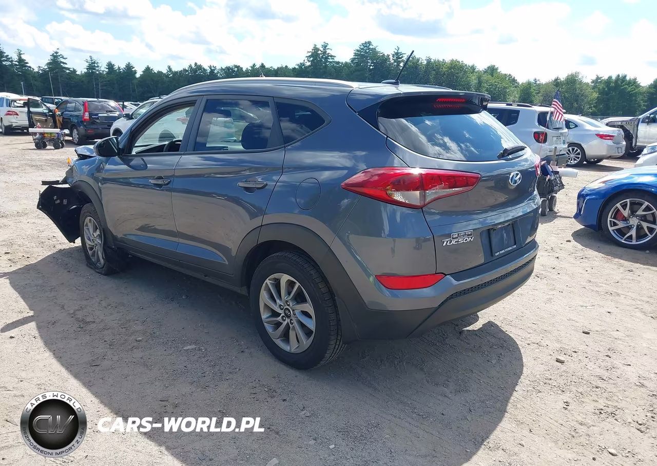 2016 Hyundai Tucson Se VIN:KM8J3CA46GU213984 - 3