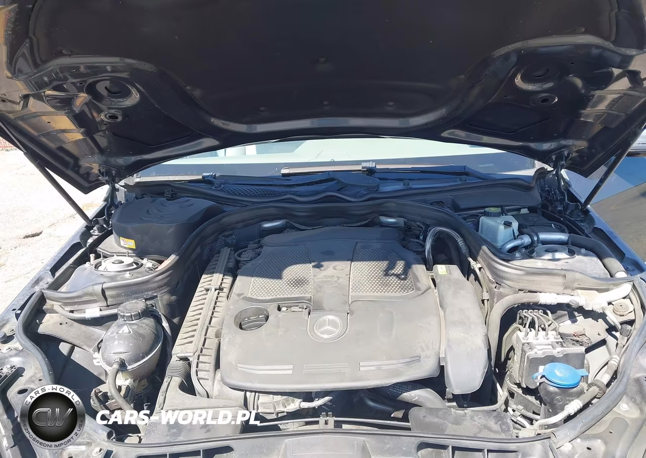 2013 Mercedes-Benz E 350 VIN:WDDHF5KB0DA739209 - 10