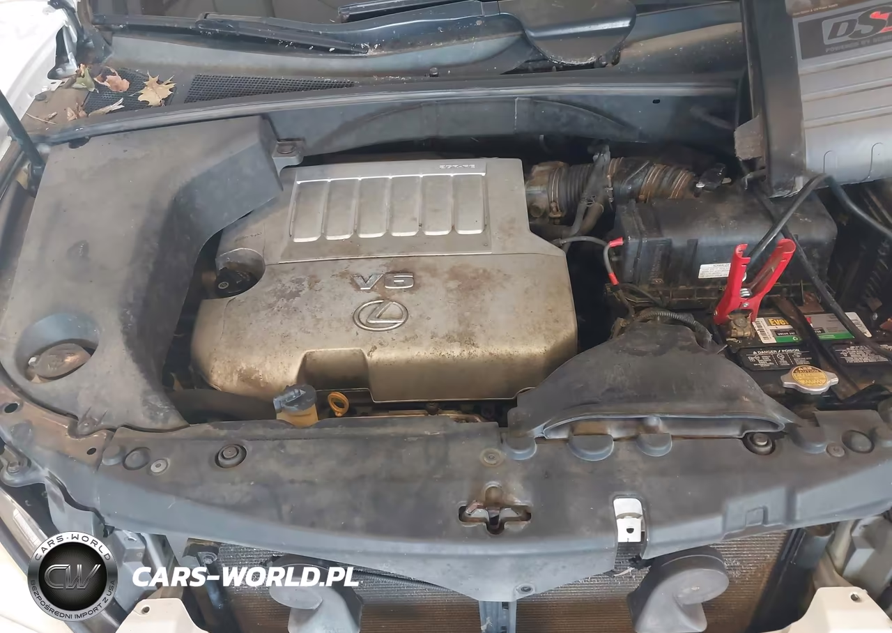 2007 Lexus Rx 350 VIN:2T2HK31U17C010726 - 10
