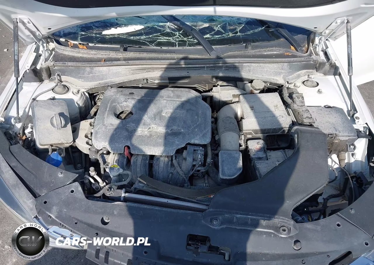 2019 Kia Optima Lx VIN:5XXGT4L37KG336961 - 10