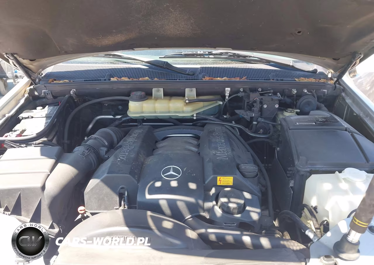 2002 Mercedes-Benz Ml 320 VIN:4JGAB54E92A354299 - 10