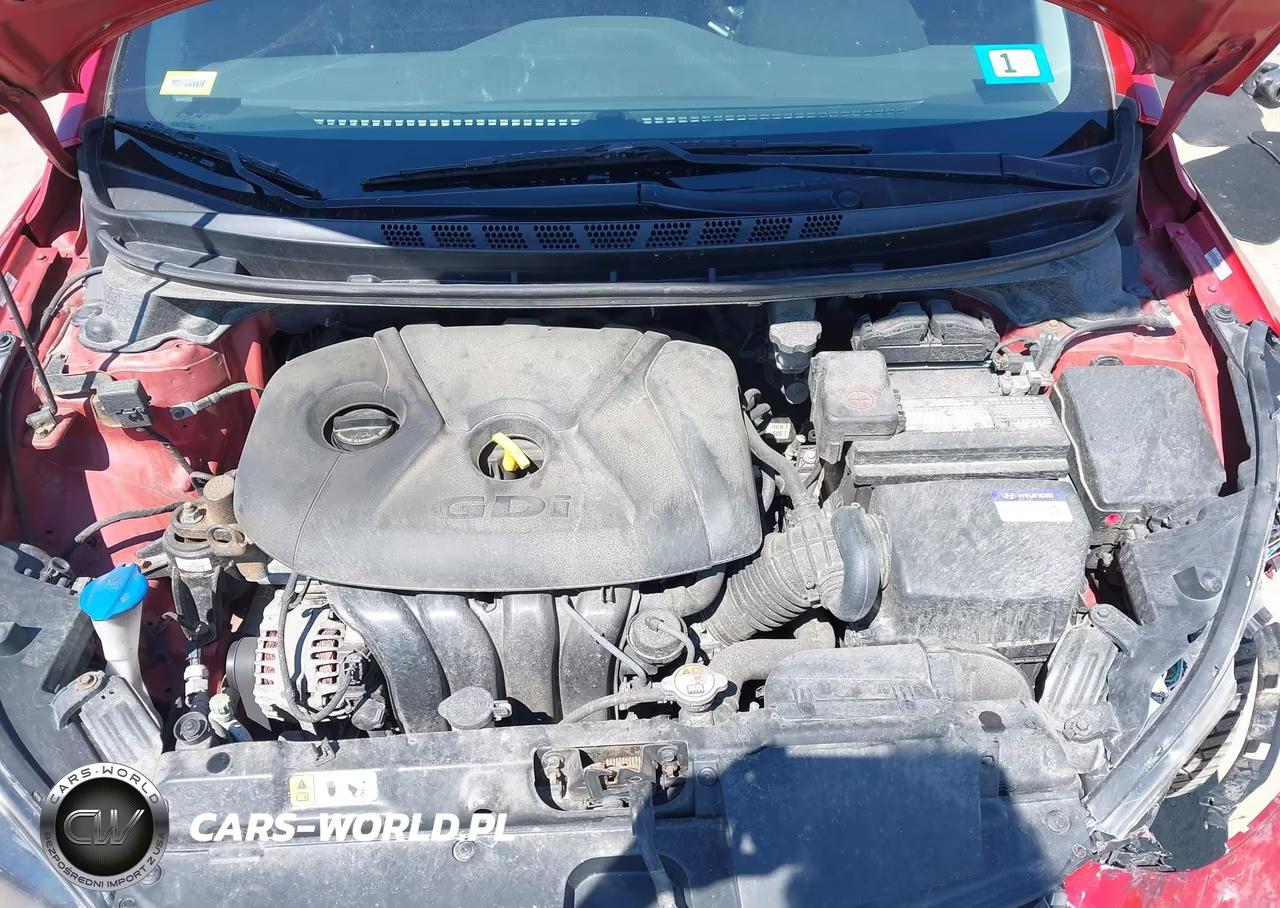 2014 Hyundai Elantra VIN:KMHDH6AH2EU028766 - 10