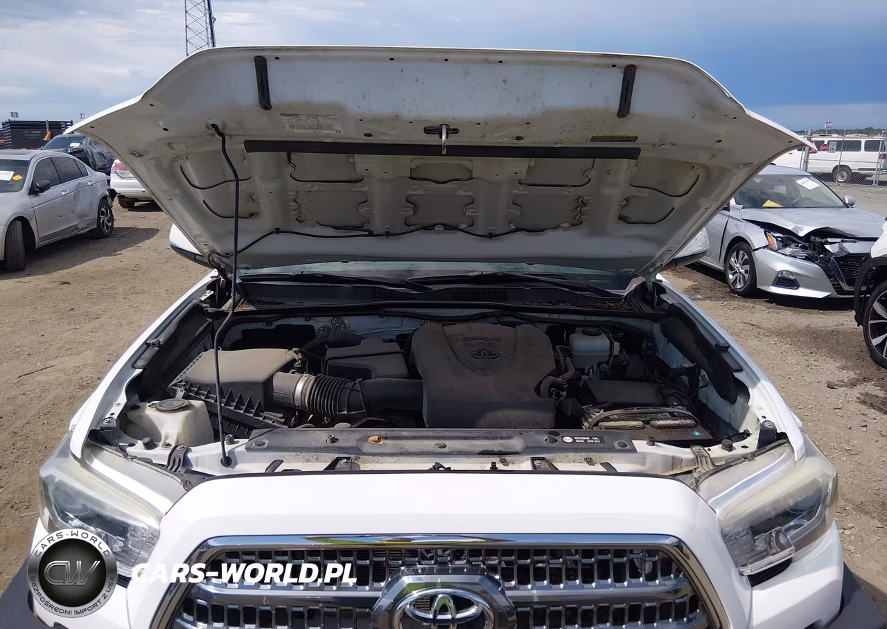 2017 Toyota Tacoma Trd Off Road VIN:5TFCZ5AN7HX047393 - 10