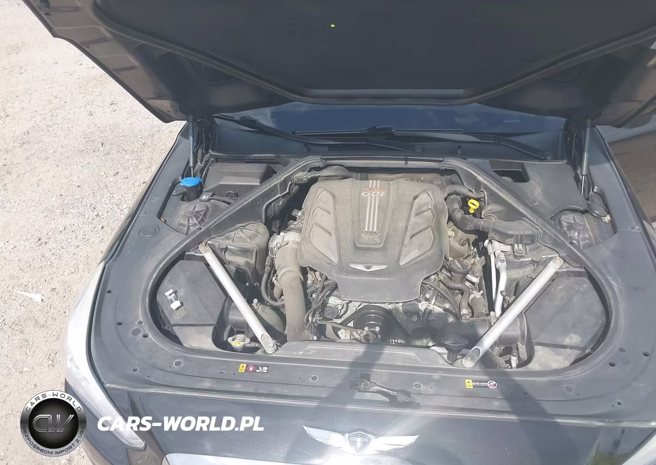 2019 Genesis G90 VIN:KMTF34JA0KU056839 - 10