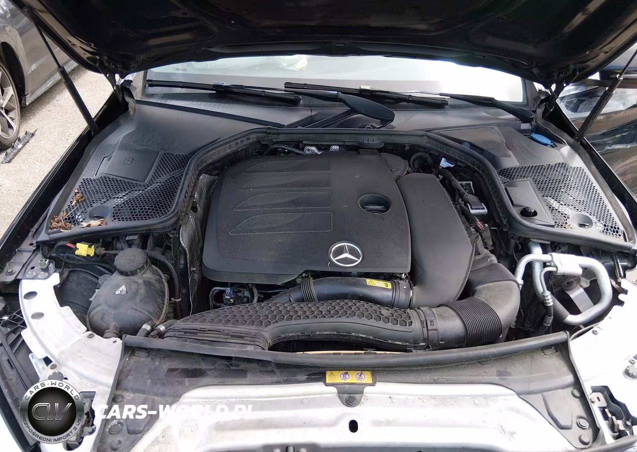 2019 Mercedes-Benz C 300 4Matic VIN:55SWF8EB9KU313388 - 10