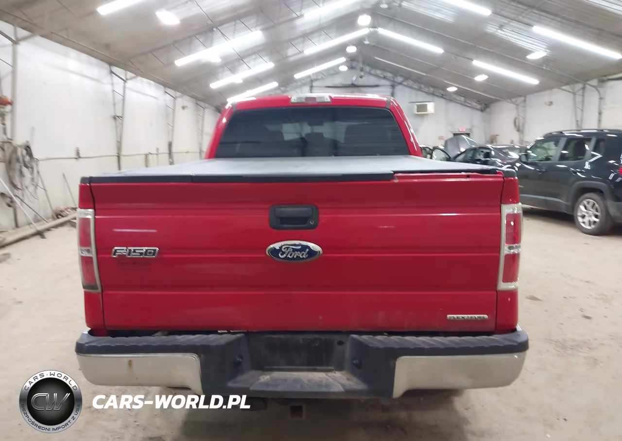 2012 Ford F-150 Xlt VIN:1FTFX1EF9CKD54827 - 16