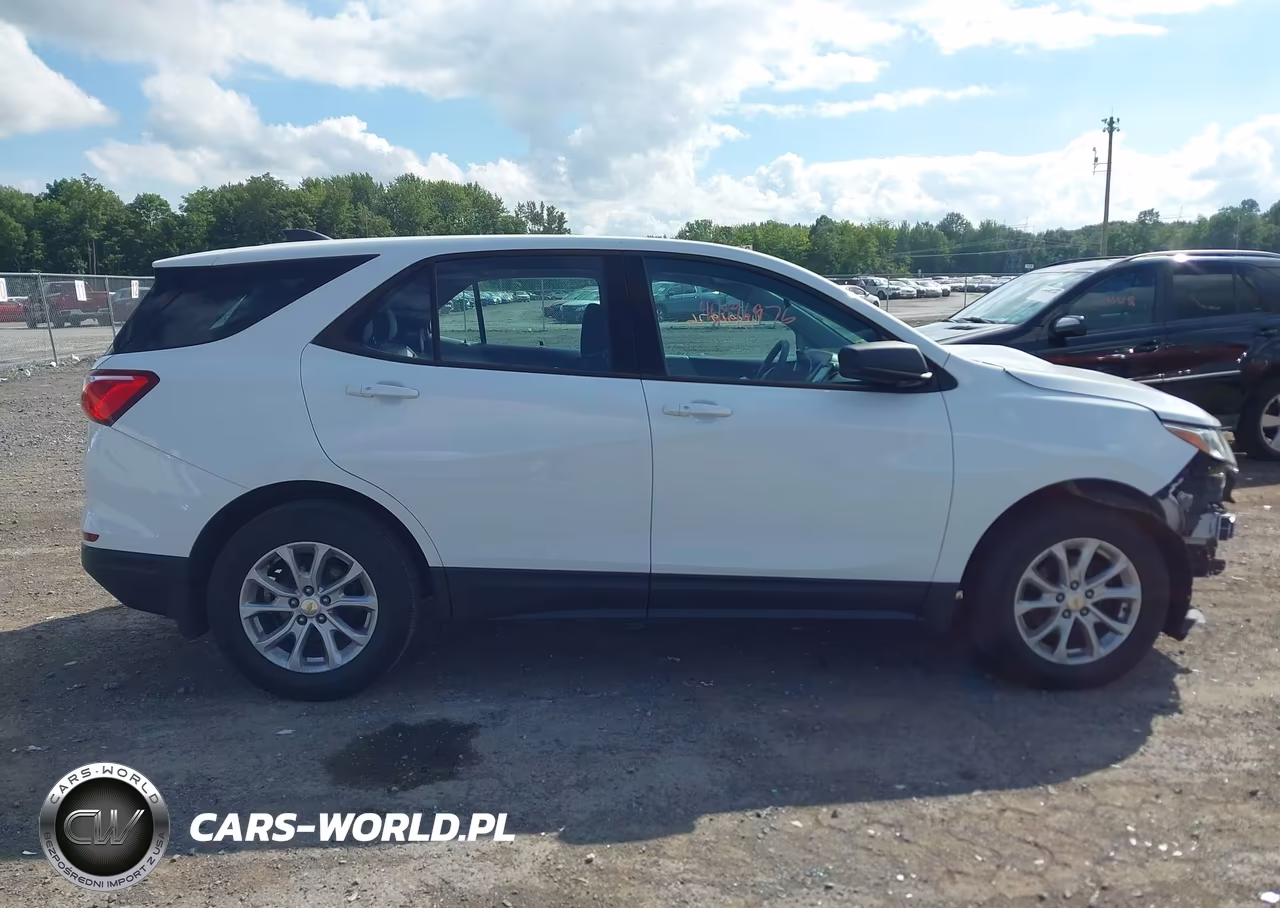 2019 Chevrolet Equinox Ls VIN:2GNAXSEV7K6236047 - 13