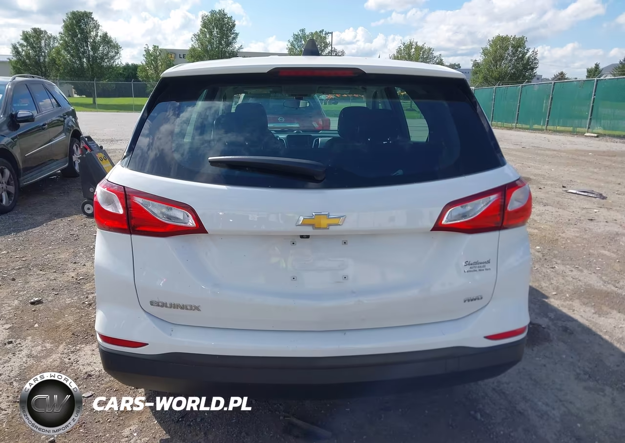 2019 Chevrolet Equinox Ls VIN:2GNAXSEV7K6236047 - 16