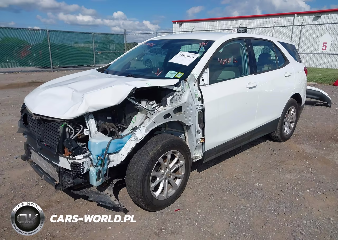 2019 Chevrolet Equinox Ls VIN:2GNAXSEV7K6236047 - 2
