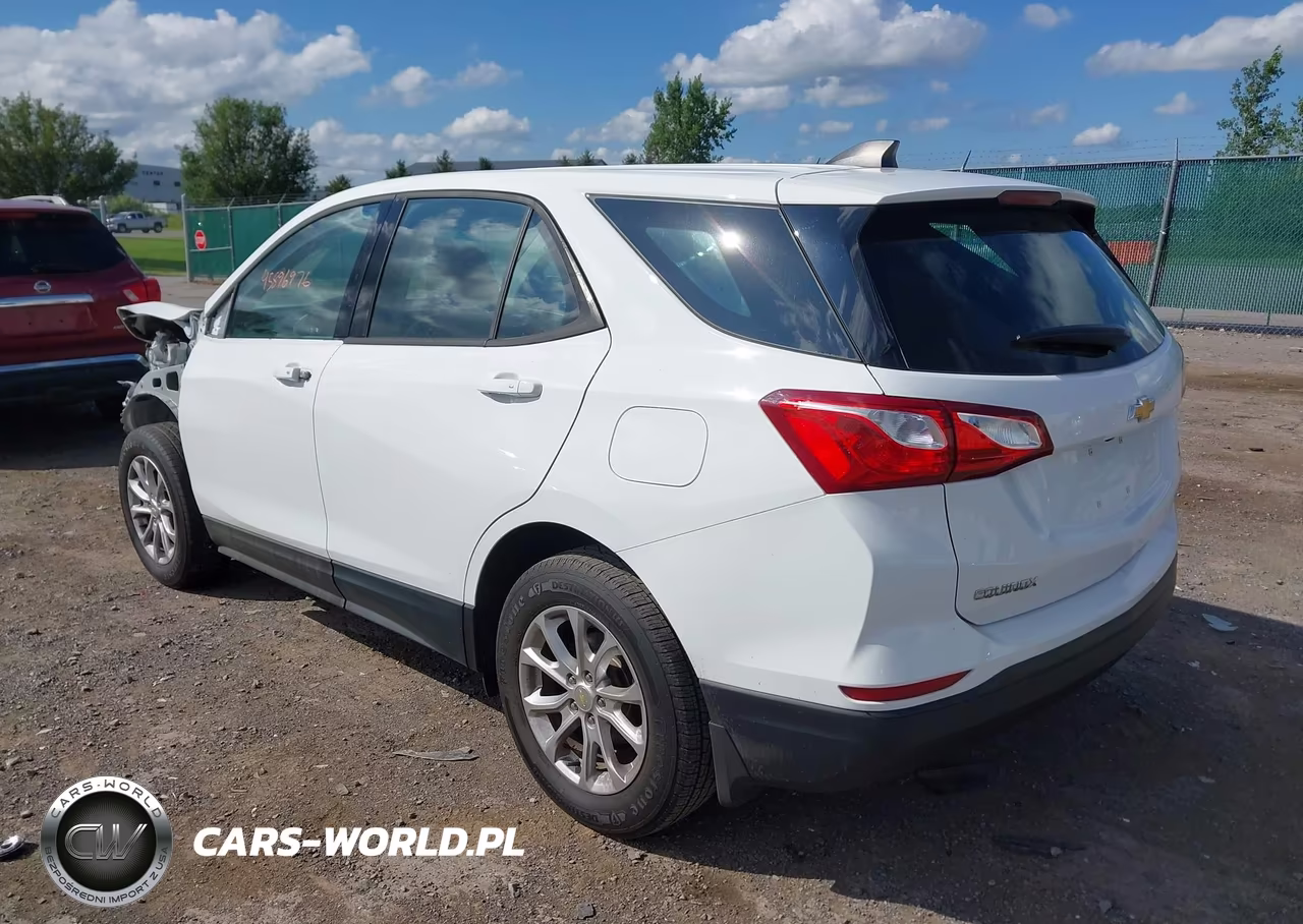 2019 Chevrolet Equinox Ls VIN:2GNAXSEV7K6236047 - 3