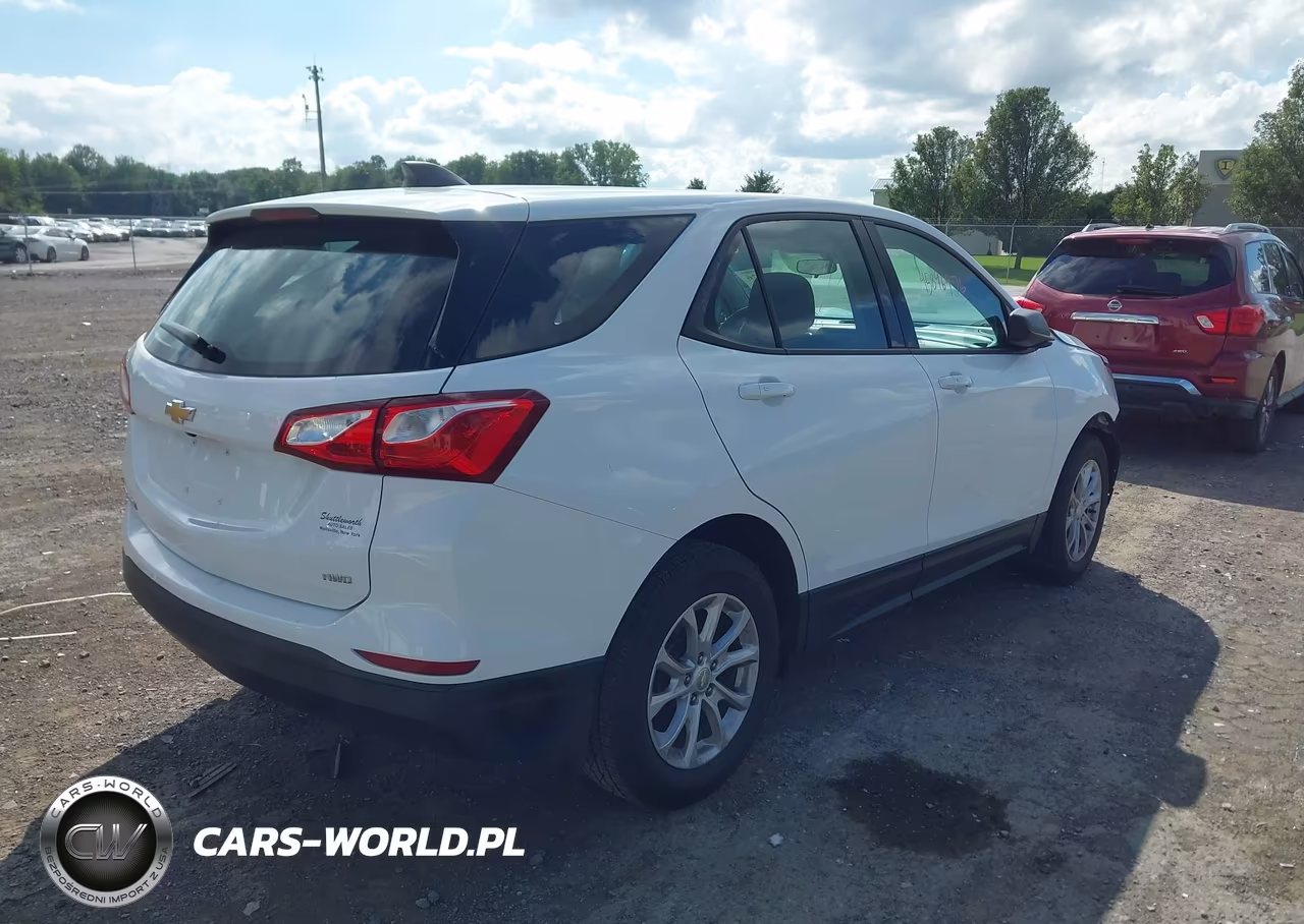 2019 Chevrolet Equinox Ls VIN:2GNAXSEV7K6236047 - 4