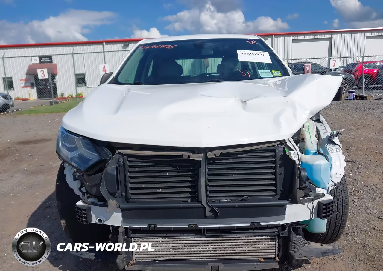 2019 Chevrolet Equinox Ls VIN:2GNAXSEV7K6236047 - 6