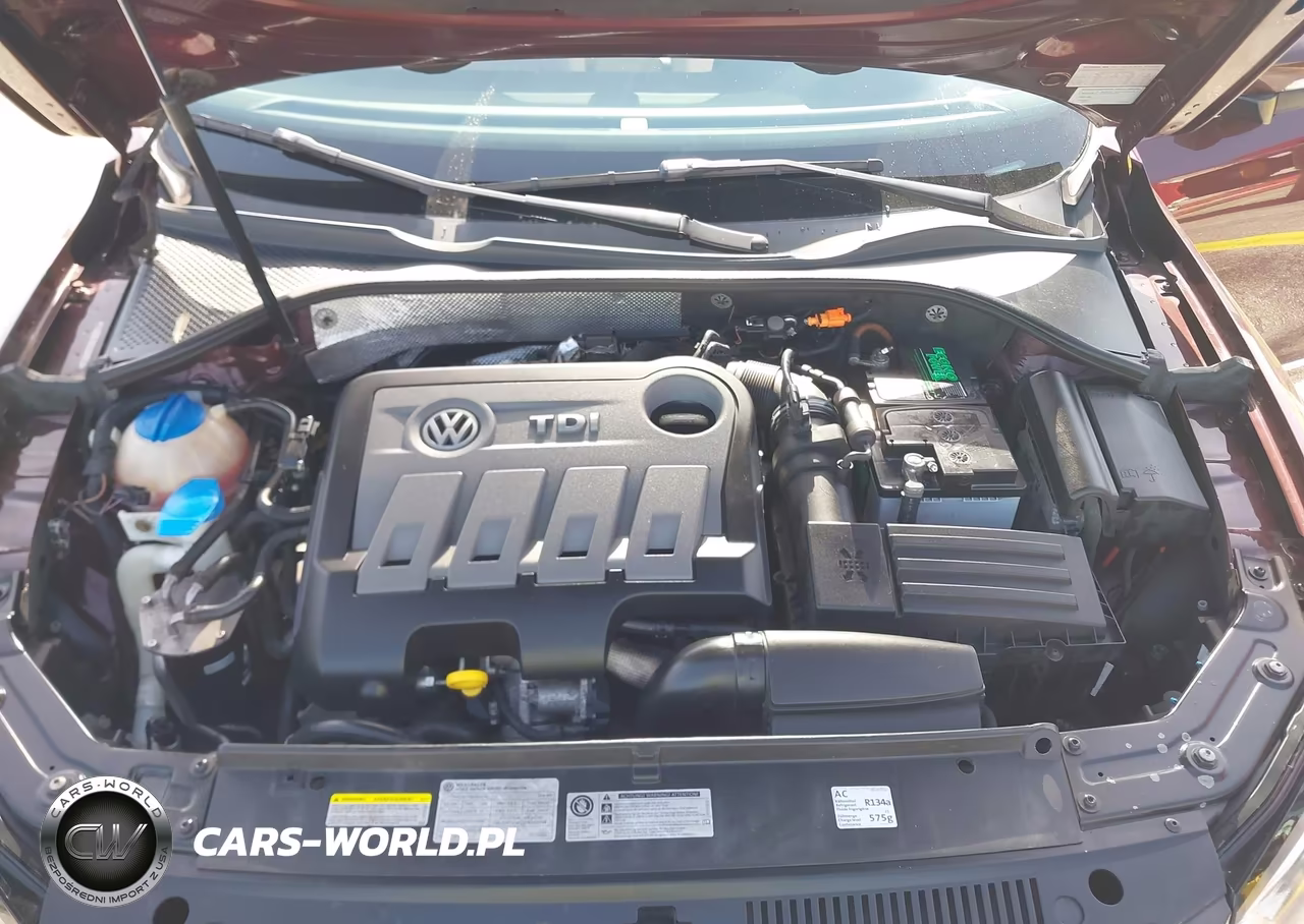 2014 Volkswagen Passat 2.0L Tdi Sel Premium VIN:1VWCN7A39EC093748 - 10