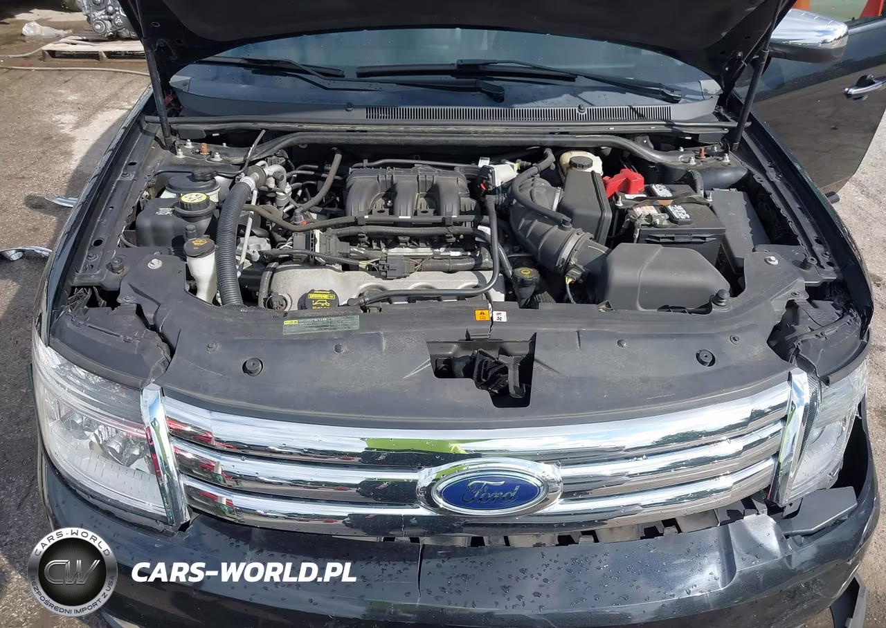 2009 Ford Taurus Limited VIN:1FAHP25W89G126981 - 10
