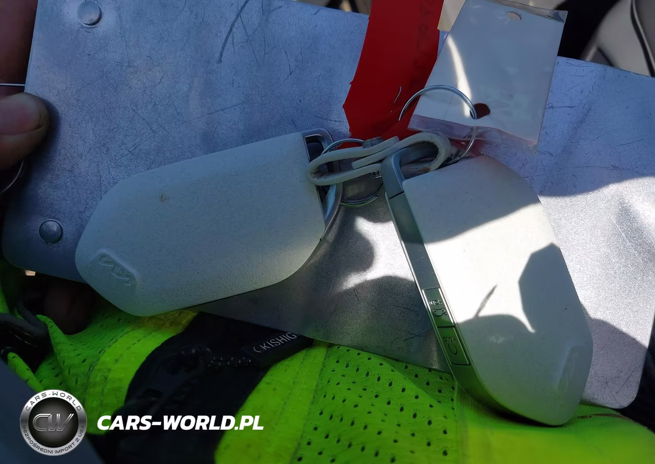 2024 Kia Ev9 Wind VIN:KNDAFFS56R6018964 - 11