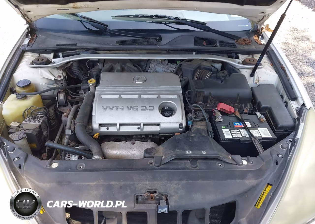 2004 Lexus Es 330 VIN:JTHBA30G345003275 - 10