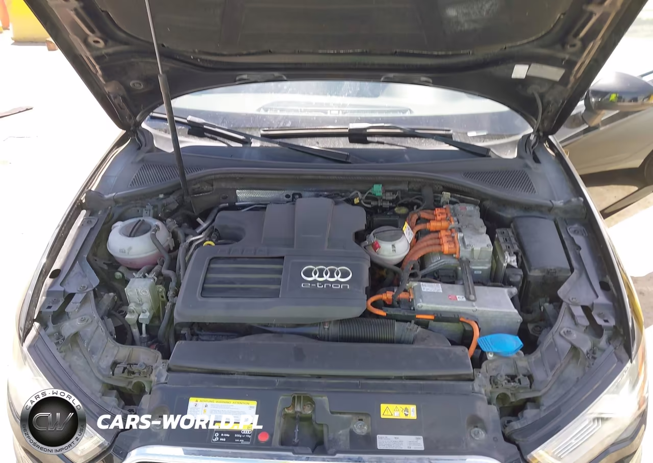 2016 Audi A3 E-Tron 1.4T Premium VIN:WAUMPBFF7GA094416 - 10
