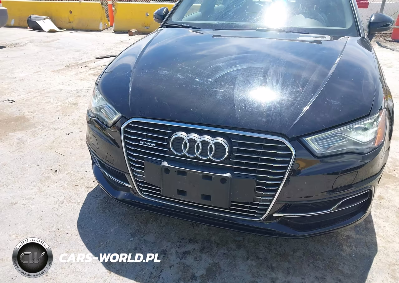2016 Audi A3 E-Tron 1.4T Premium VIN:WAUMPBFF7GA094416 - 12
