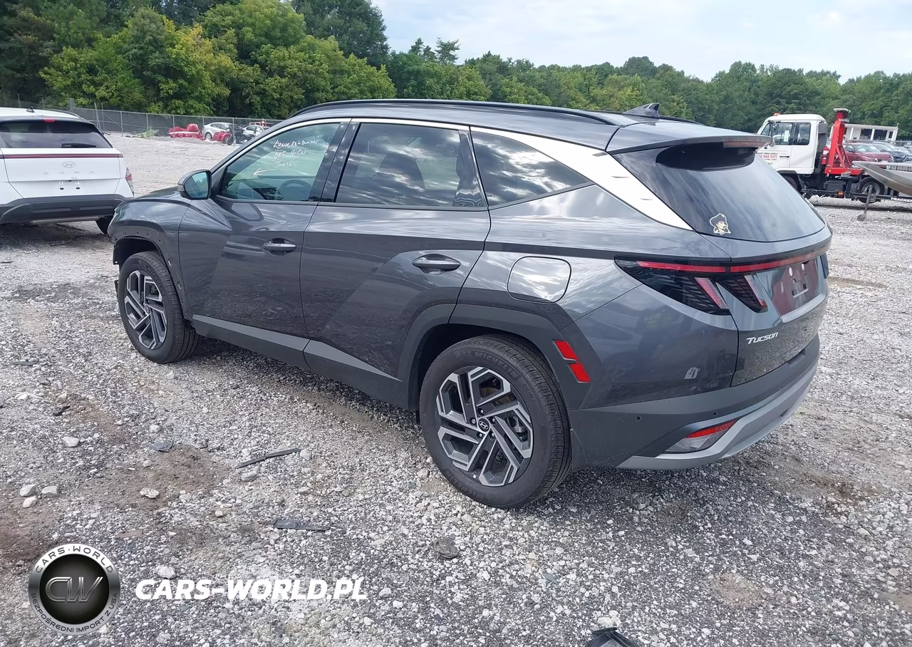 2025 Hyundai Tucson Hybrid Limited VIN:KM8JEDD19SU349536 - 3