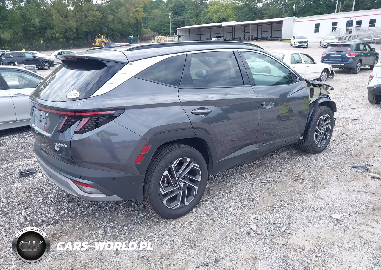 2025 Hyundai Tucson Hybrid Limited VIN:KM8JEDD19SU349536 - 4