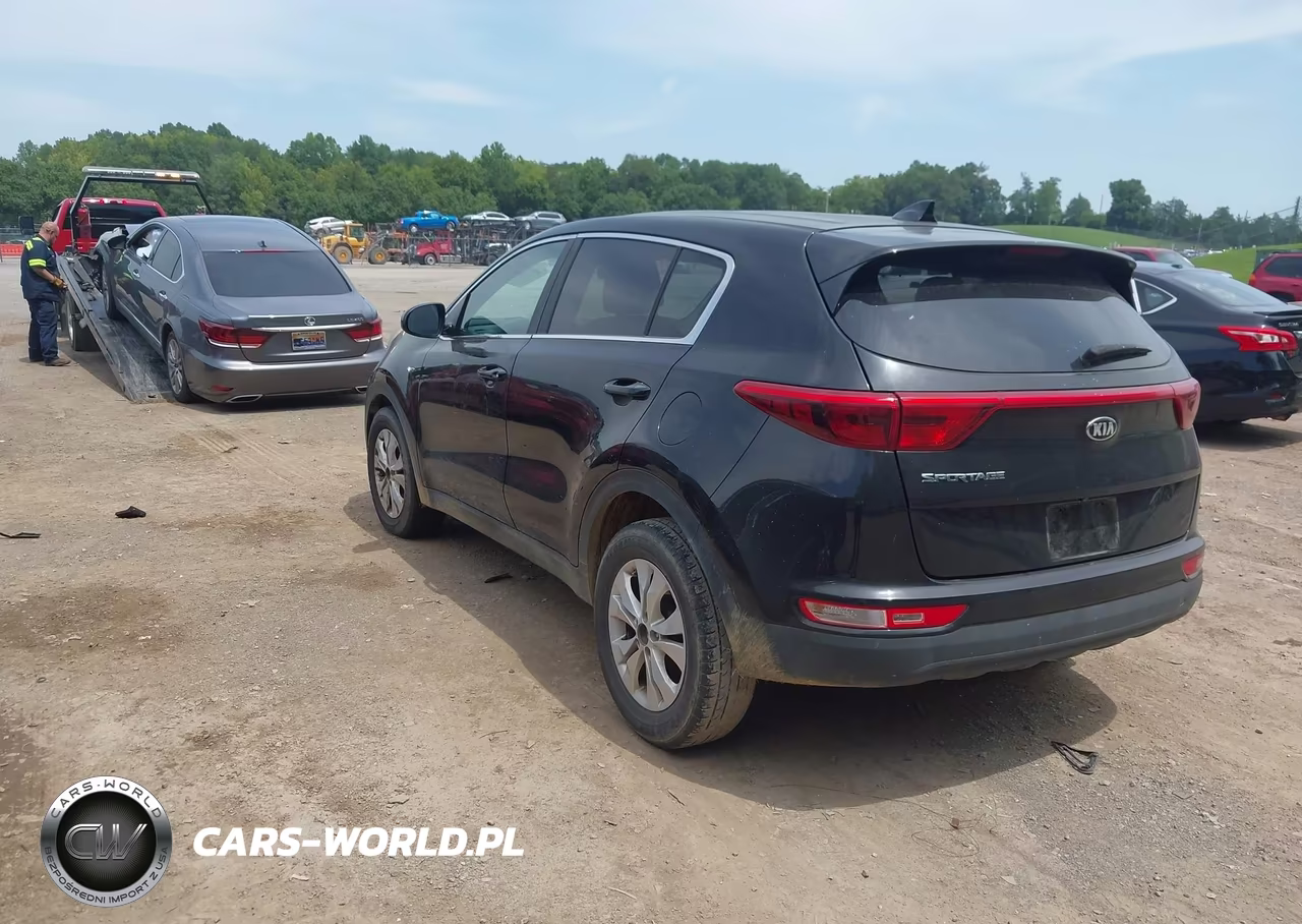 2017 Kia Sportage Lx VIN:KNDPMCAC6H7065337 - 3