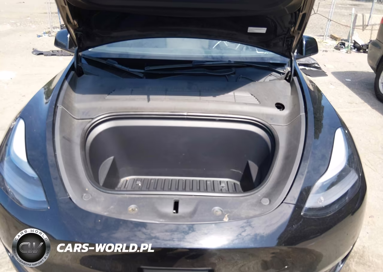 2023 Tesla Model Y Performance Dual Motor All-Wheel Drive VIN:7SAYGDEF5PF915587 - 10