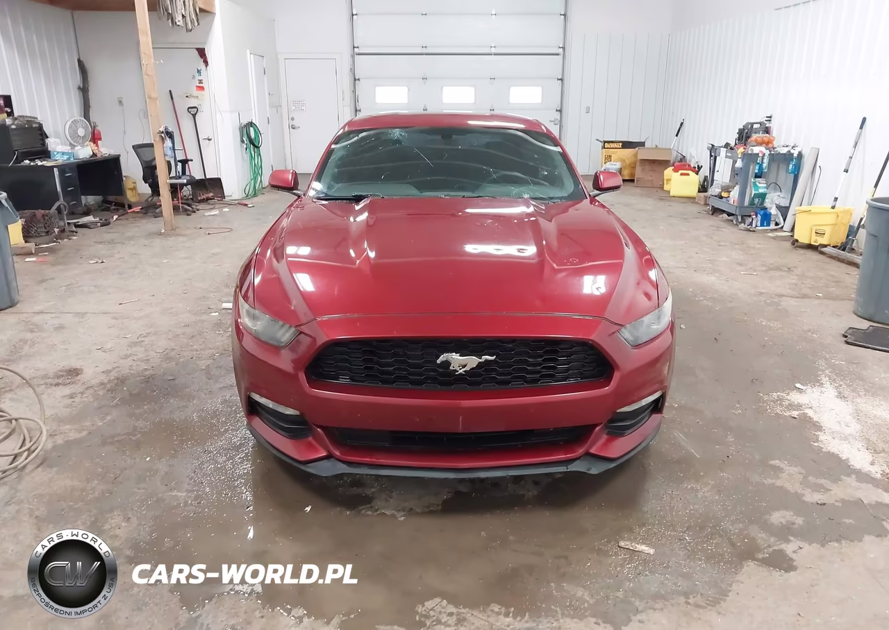 2017 Ford Mustang V6 VIN:1FA6P8AM4H5351911 - 12