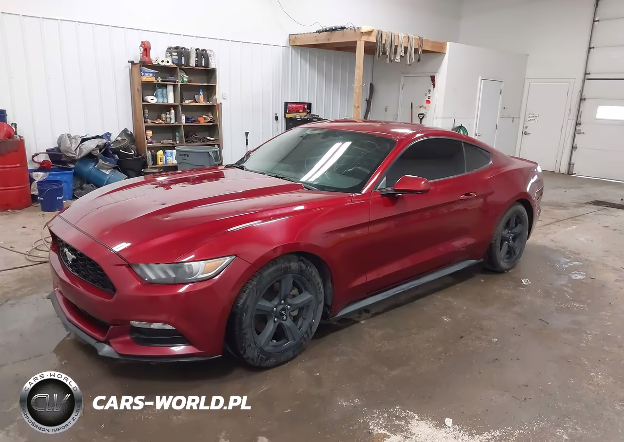 2017 Ford Mustang V6 VIN:1FA6P8AM4H5351911 - 2