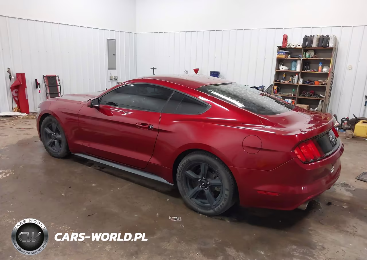 2017 Ford Mustang V6 VIN:1FA6P8AM4H5351911 - 3