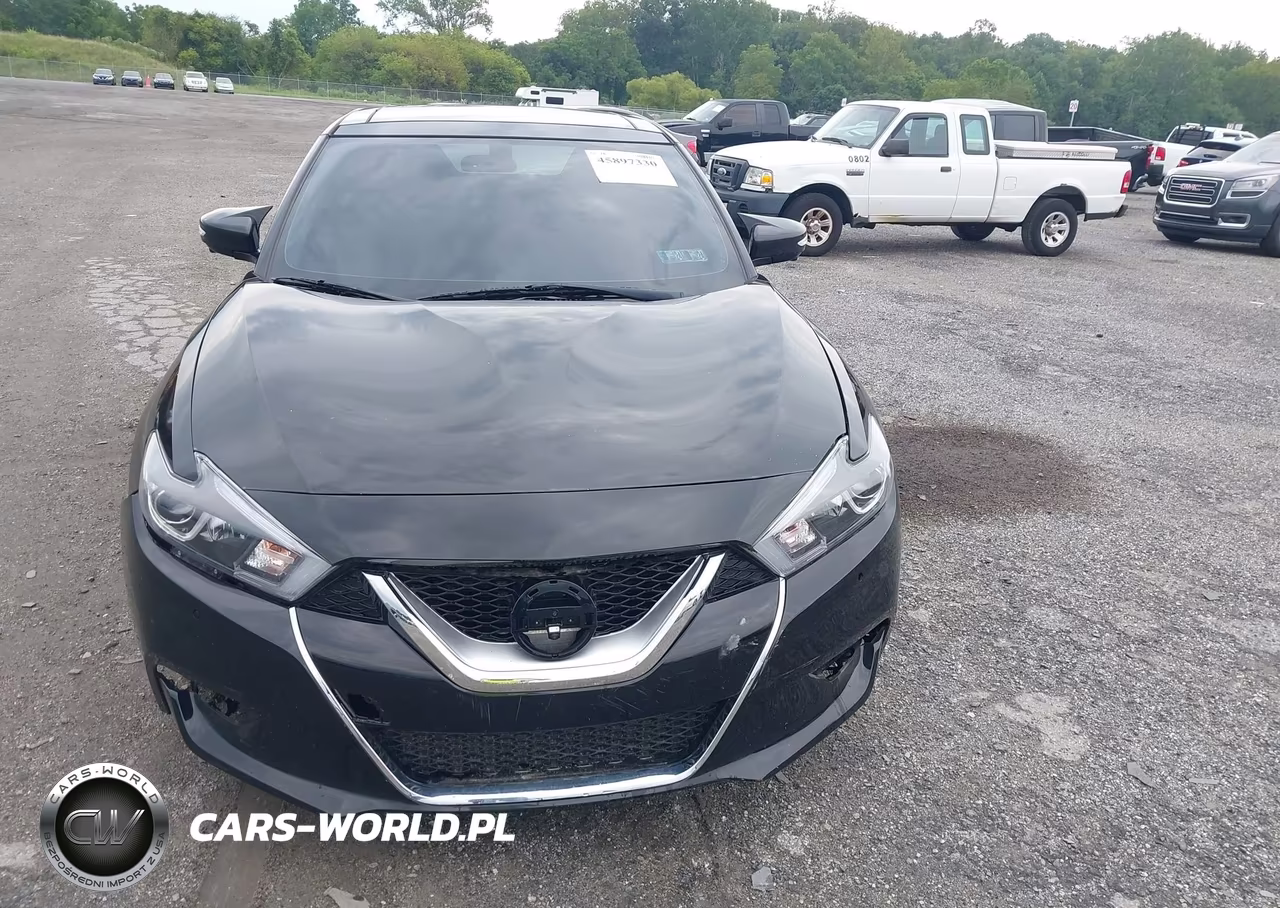 2016 Nissan Maxima 3.5 Platinum VIN:1N4AA6AP7GC407313 - 12