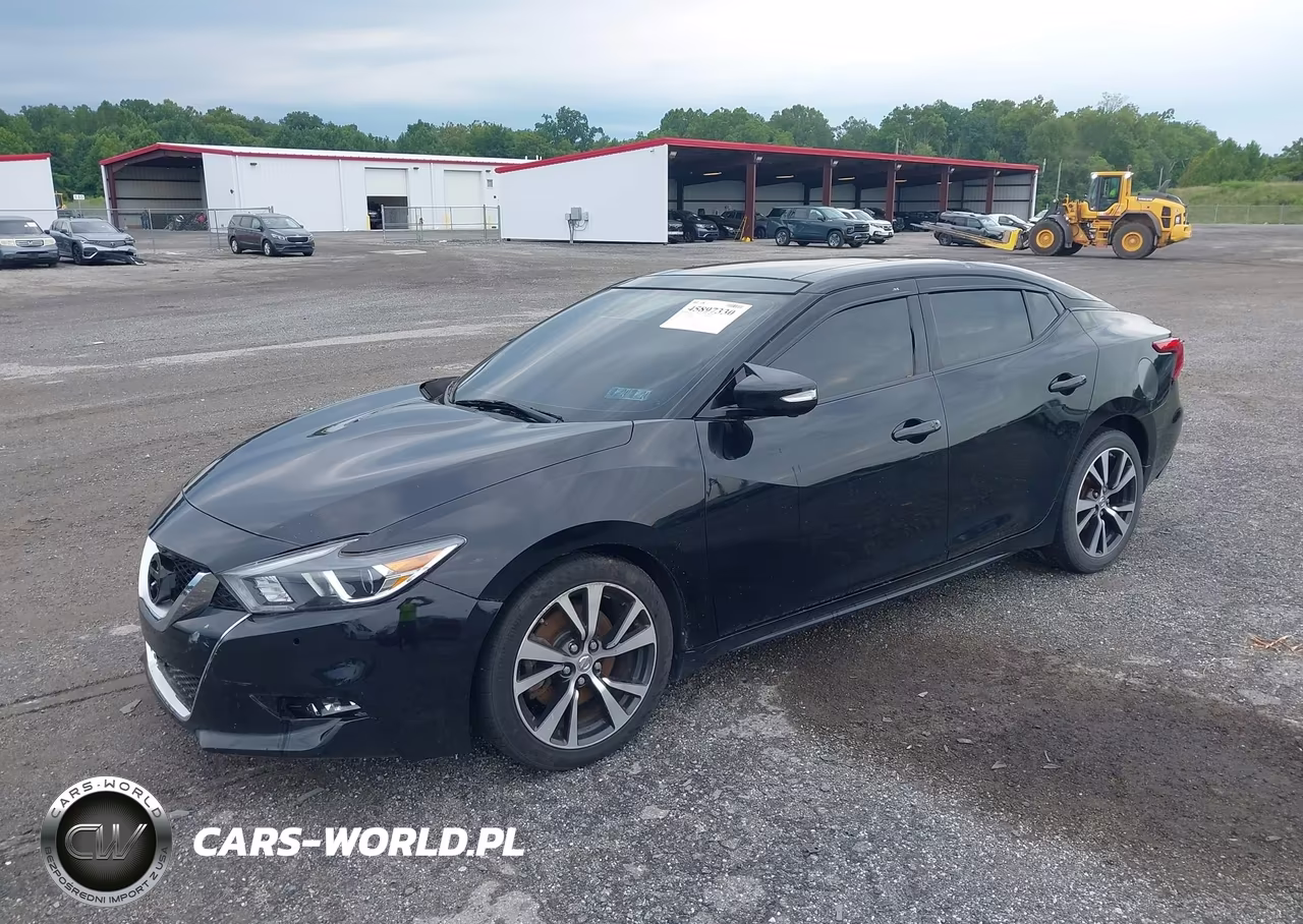 2016 Nissan Maxima 3.5 Platinum VIN:1N4AA6AP7GC407313 - 2