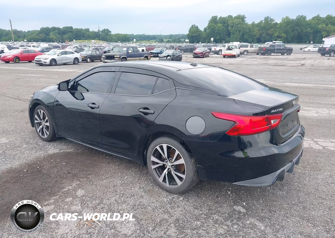 2016 Nissan Maxima 3.5 Platinum VIN:1N4AA6AP7GC407313 - 3