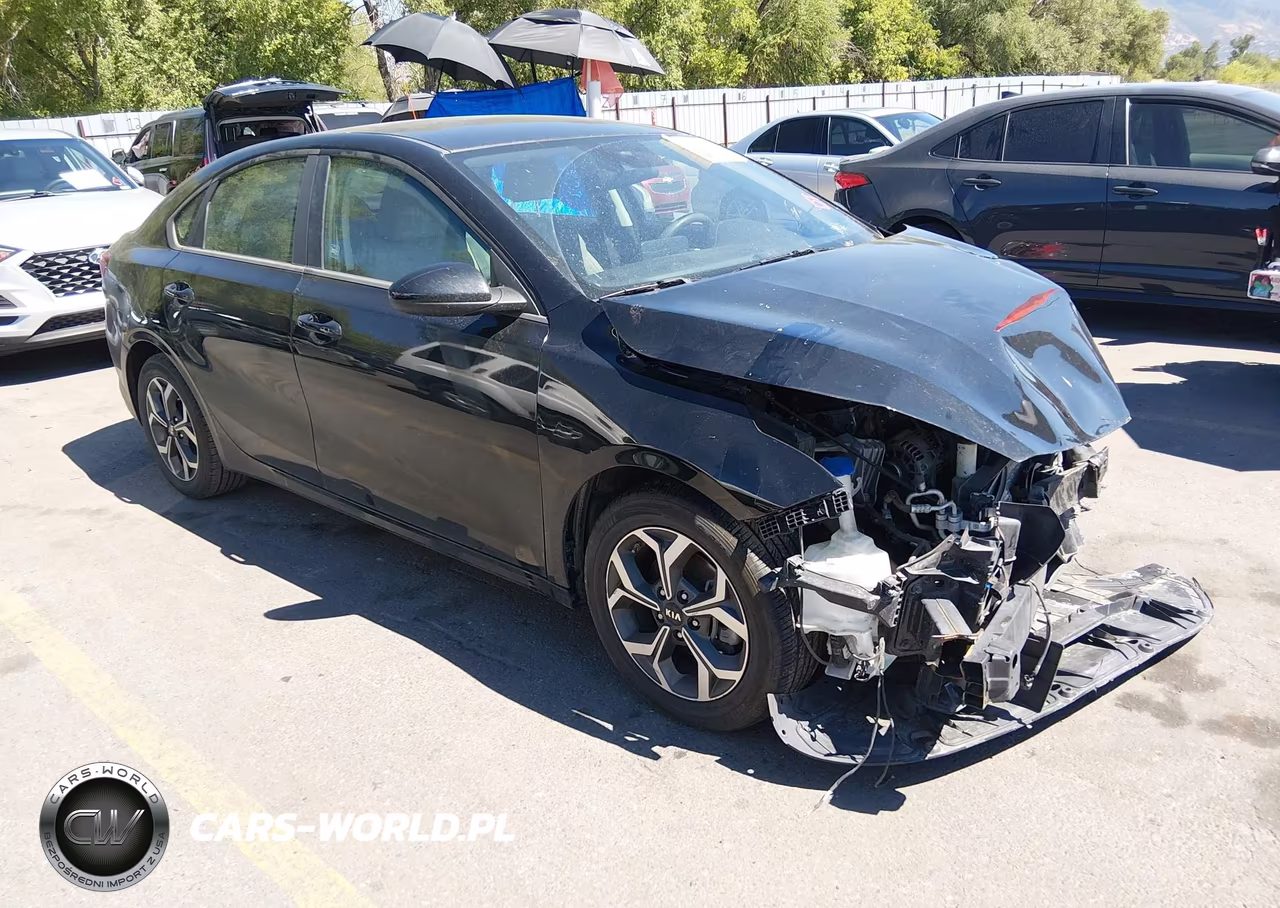 2019 Kia Forte Lxs