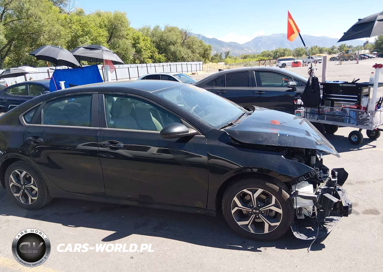 2019 Kia Forte Lxs VIN:3KPF24AD5KE077342 - 13