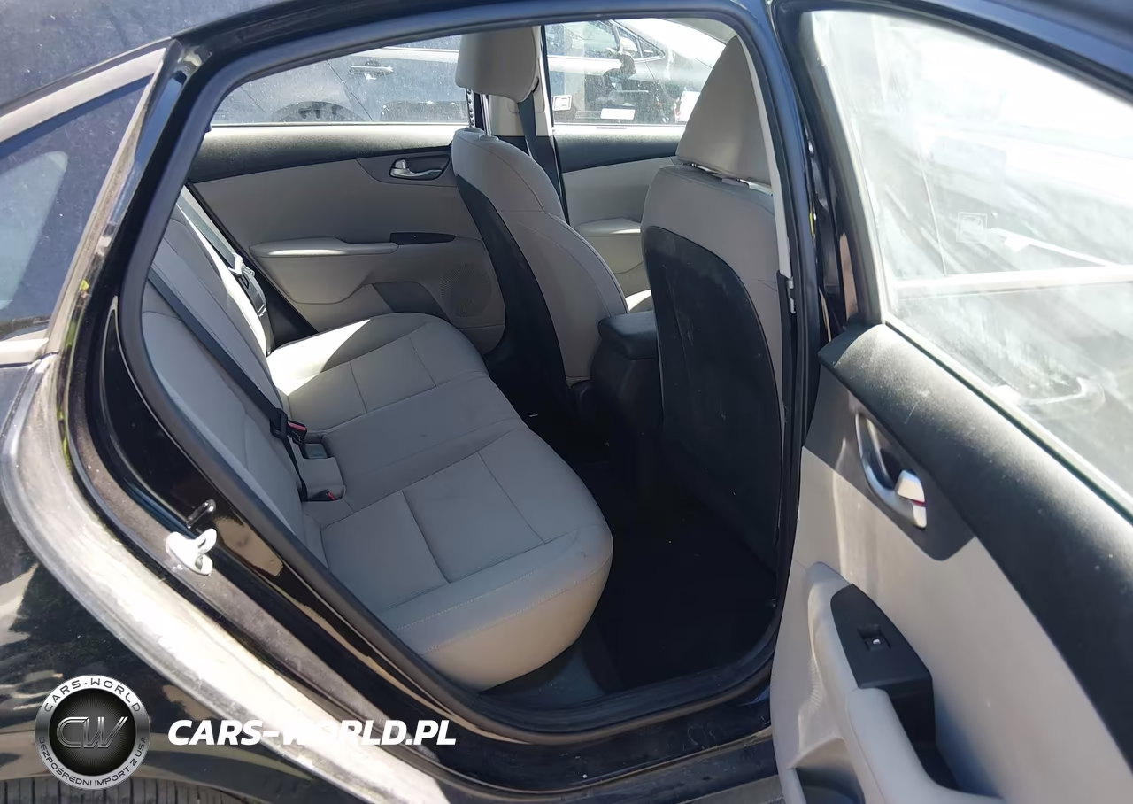 2019 Kia Forte Lxs VIN:3KPF24AD5KE077342 - 8
