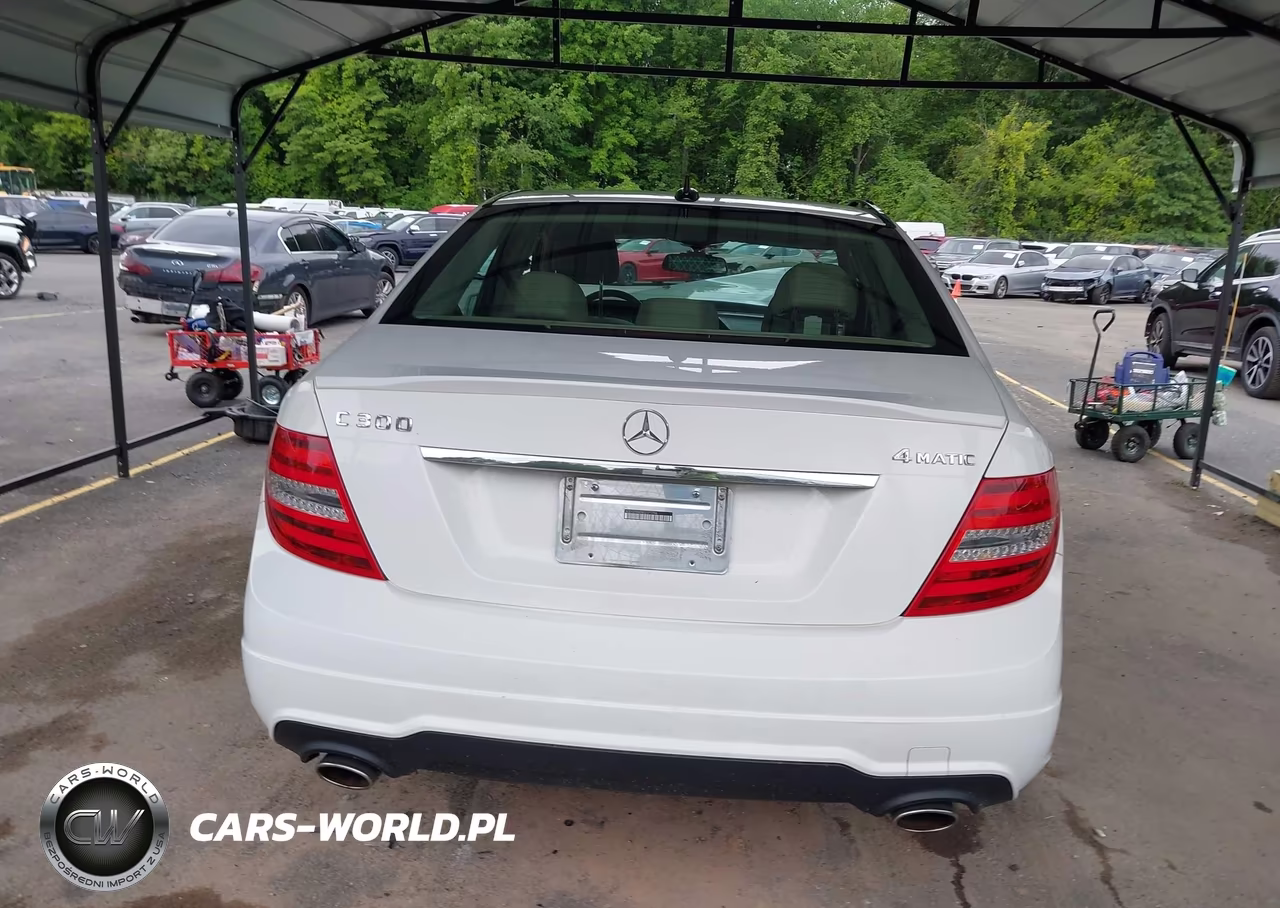 2014 Mercedes-Benz C 300 Sport 4Matic VIN:WDDGF8AB9EG171796 - 17