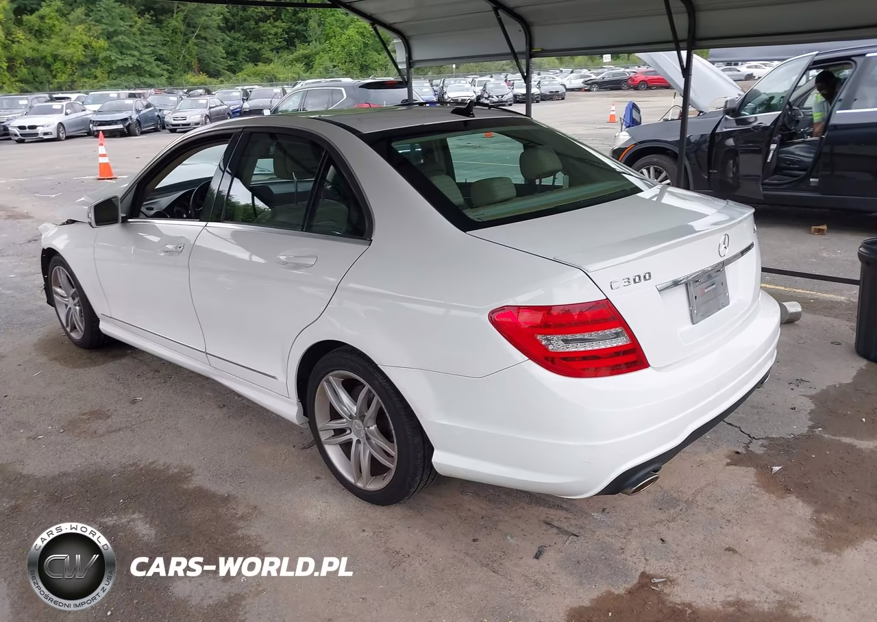2014 Mercedes-Benz C 300 Sport 4Matic VIN:WDDGF8AB9EG171796 - 3
