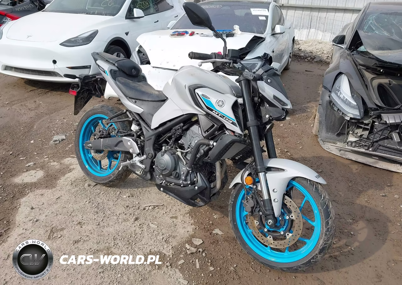 2025 Yamaha Mtn320 Ac – zdjęcie 1 z 13