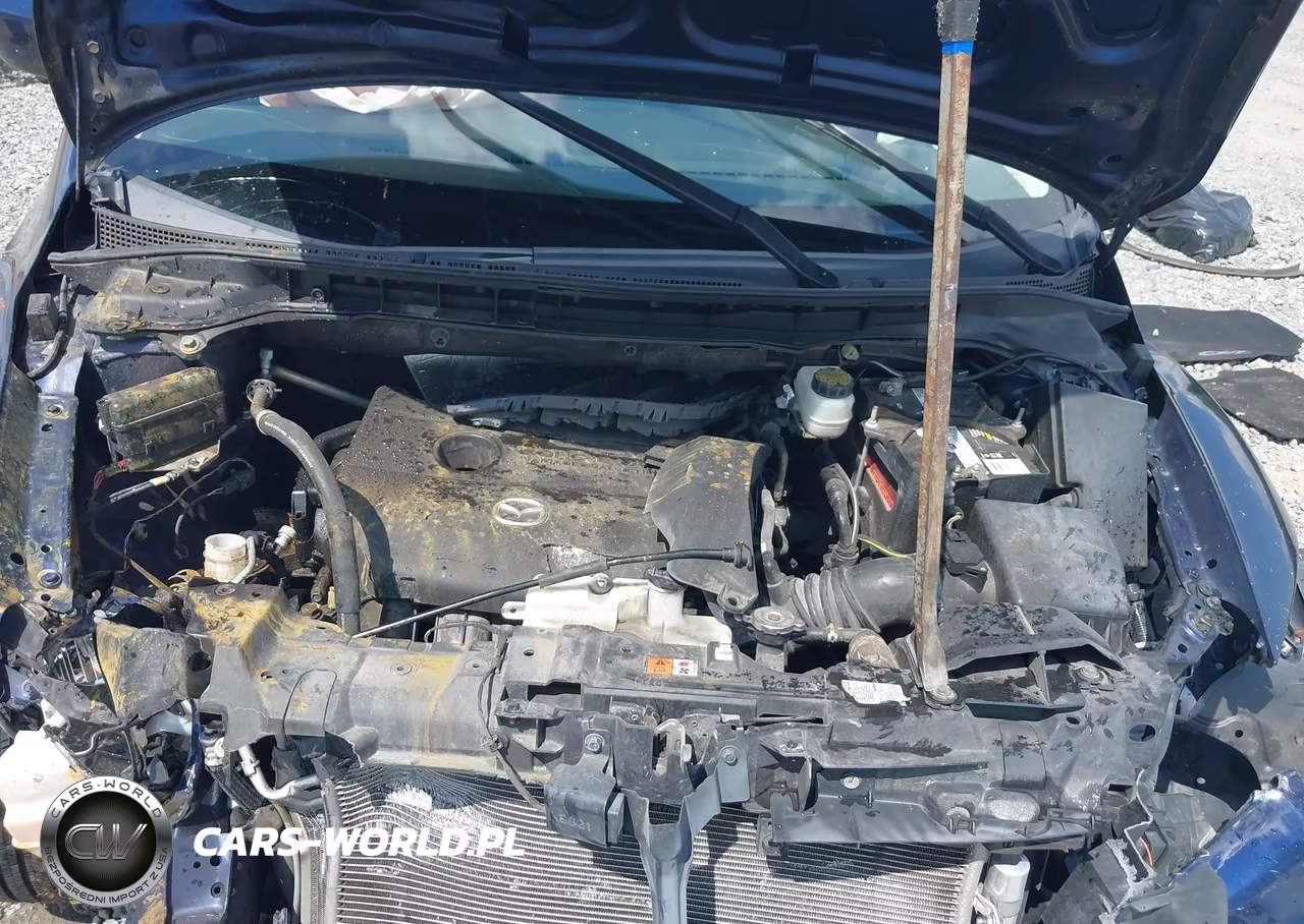2011 Mazda Cx-7 I Sport VIN:JM3ER2B57B0367858 - 10