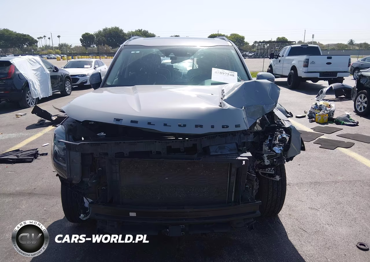 2022 Kia Telluride Ex VIN:5XYP3DHC4NG231352 - 12
