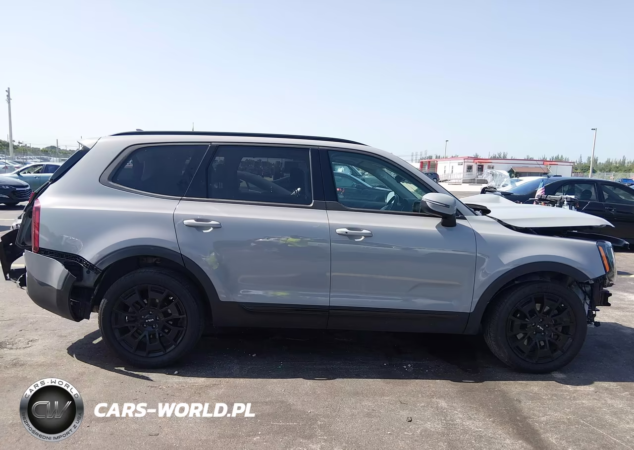 2022 Kia Telluride Ex VIN:5XYP3DHC4NG231352 - 13