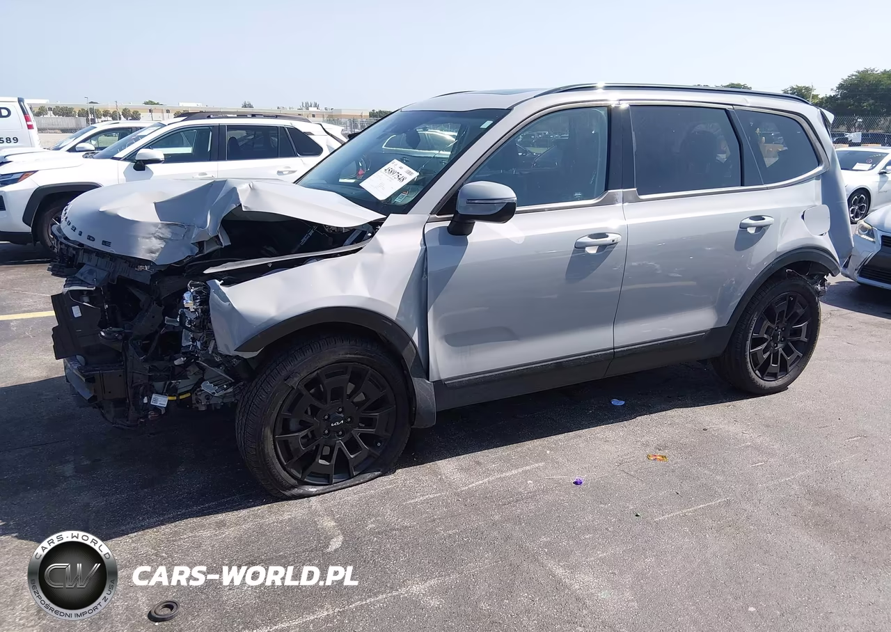 2022 Kia Telluride Ex VIN:5XYP3DHC4NG231352 - 2