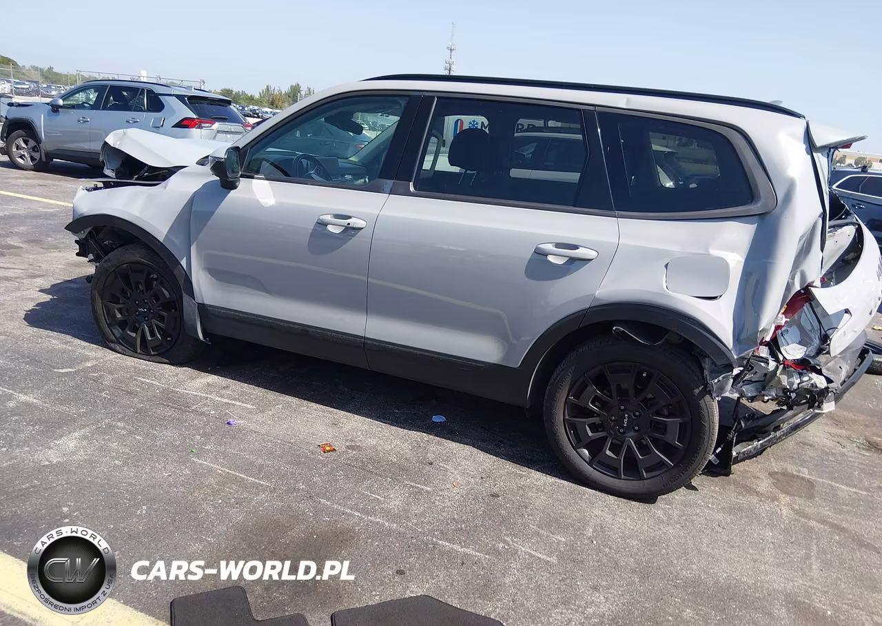 2022 Kia Telluride Ex VIN:5XYP3DHC4NG231352 - 3