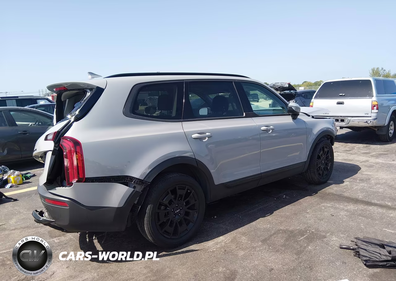 2022 Kia Telluride Ex VIN:5XYP3DHC4NG231352 - 4